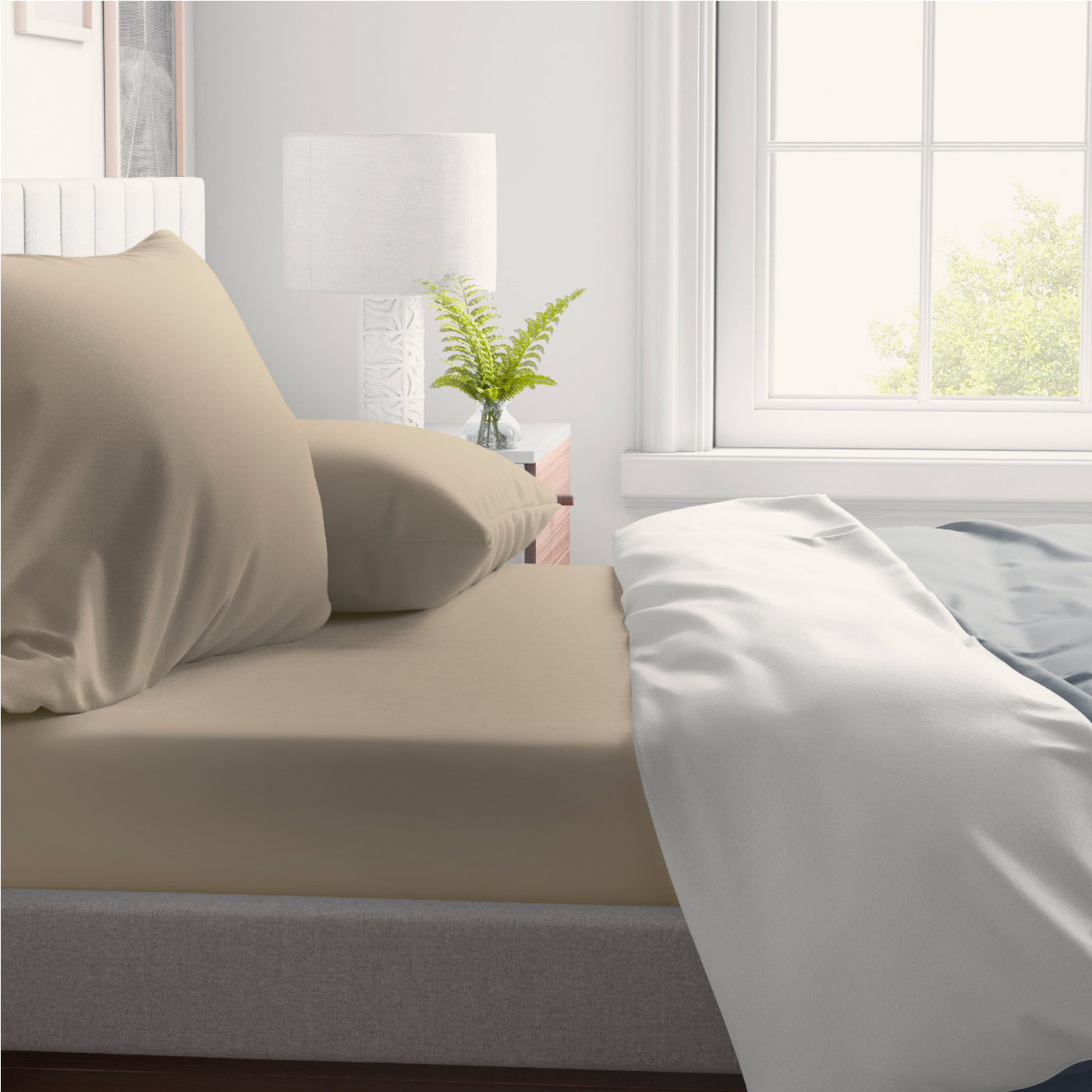 300 TC Egyptian Cotton Fitted Bed Sheet Set - Beige
