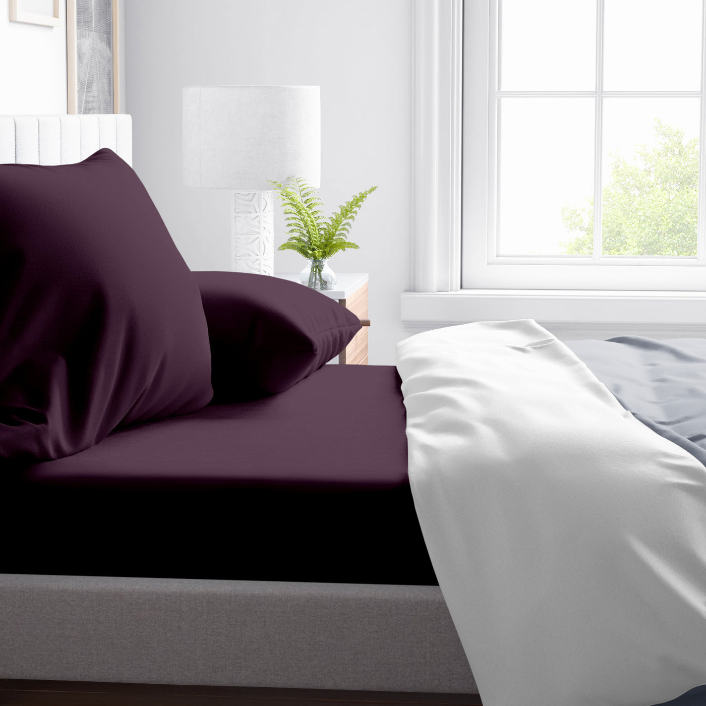 300 TC Egyptian Cotton Fitted Bed Sheet Set - Plum
