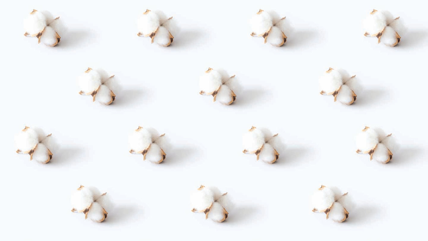 Understanding the Different Types of Cotton and Their Quality