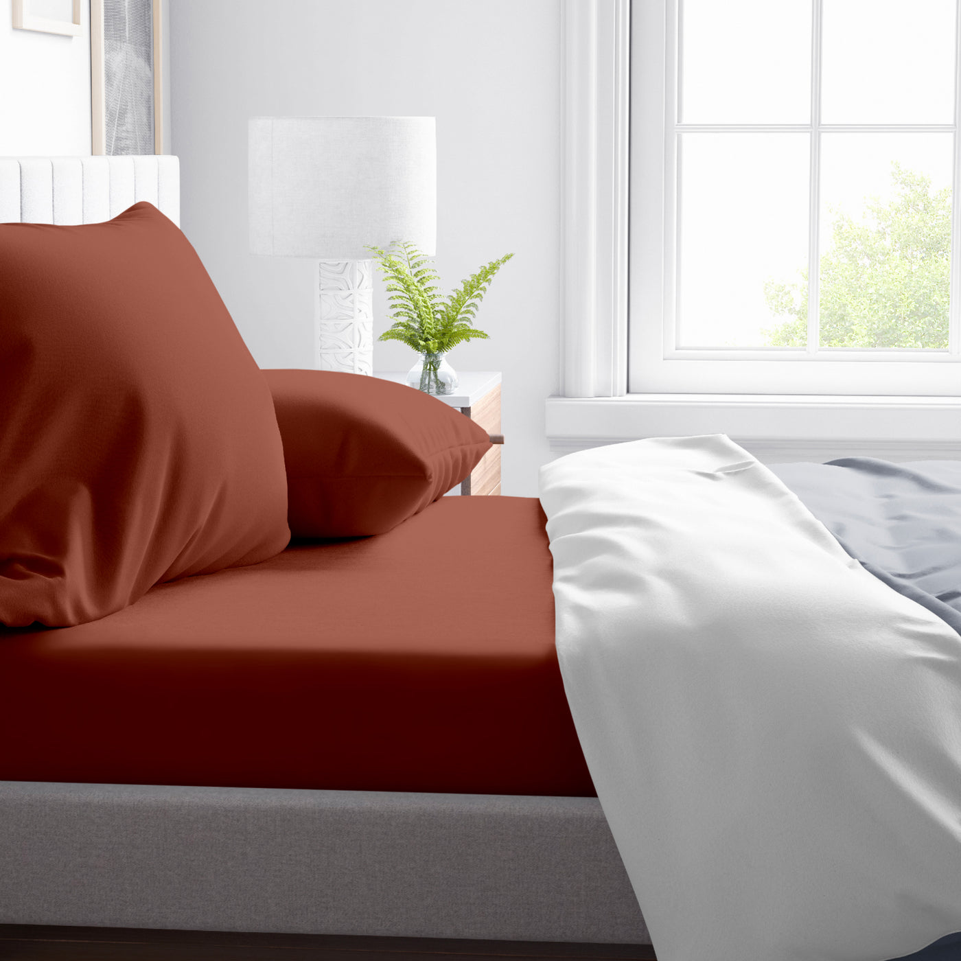 300 TC Egyptian Cotton Fitted Bed Sheet Set - Burnt Orange