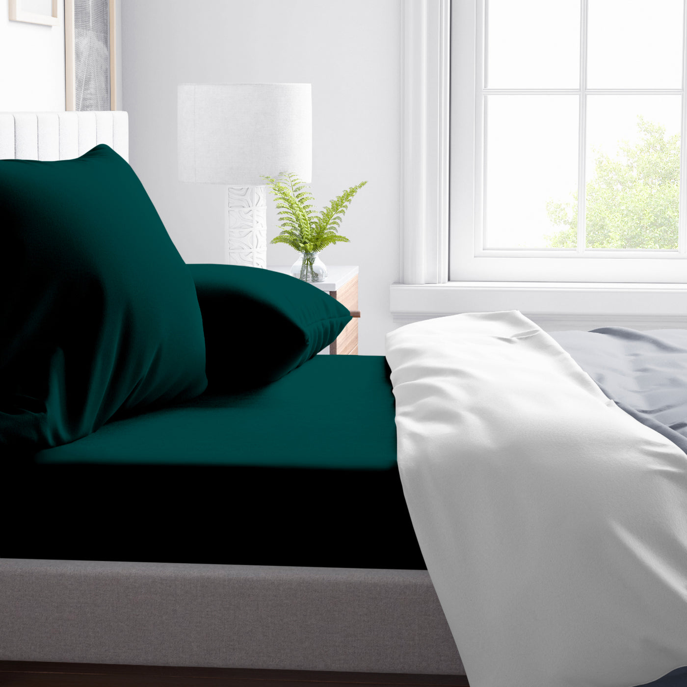 300 TC Egyptian Cotton Fitted Bed Sheet Set - Teal